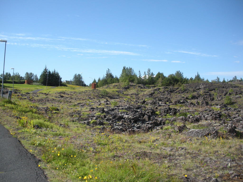 Lava Hostel Hafnarfjörður Oda fotoğraf